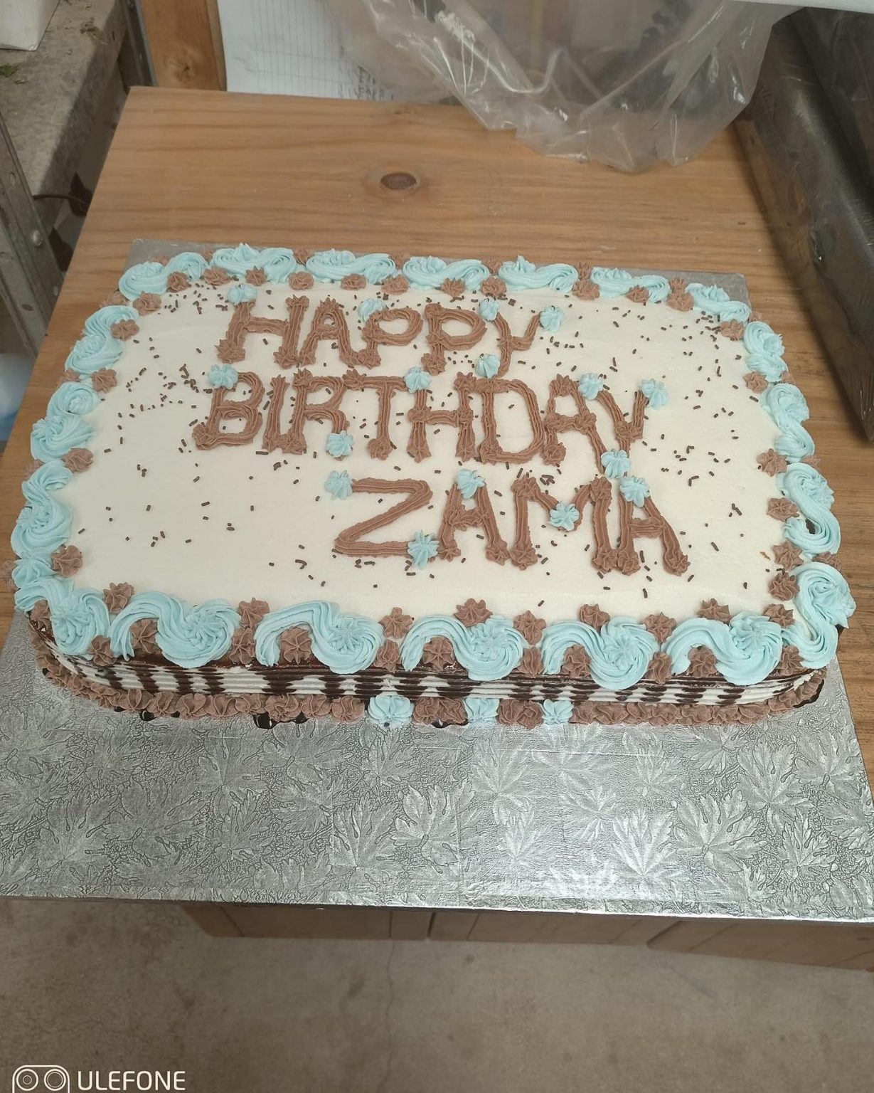 Zama's Birthday Cake!